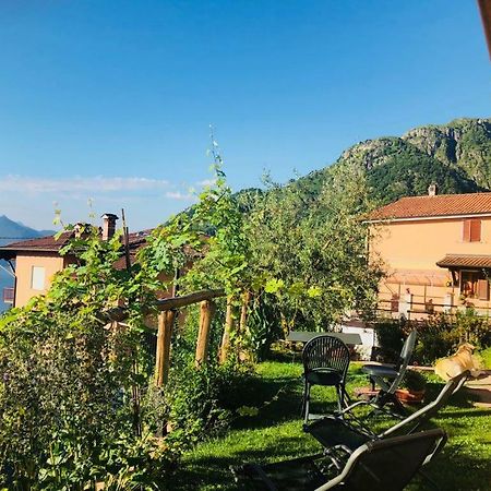 Agriturismo Botton D'Oro Dongo Eksteriør bilde