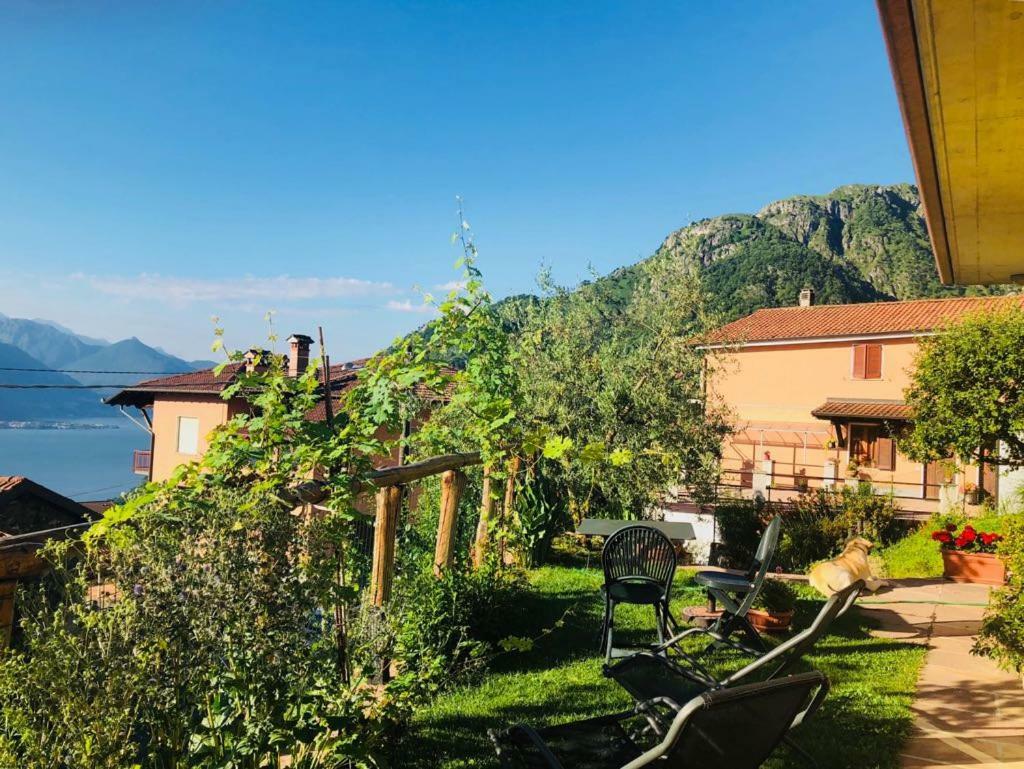 Agriturismo Botton D'Oro Dongo Eksteriør bilde